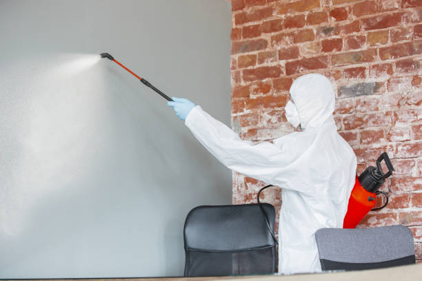 Shullsburg, WI Mold Removal Company