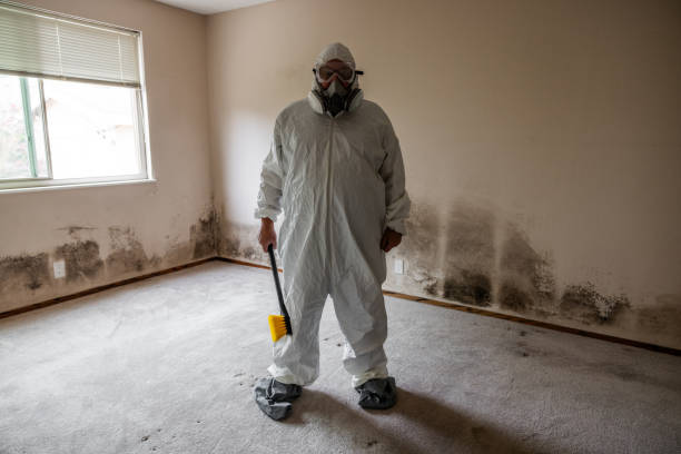 Biohazard Mold Removal in Shullsburg, WI